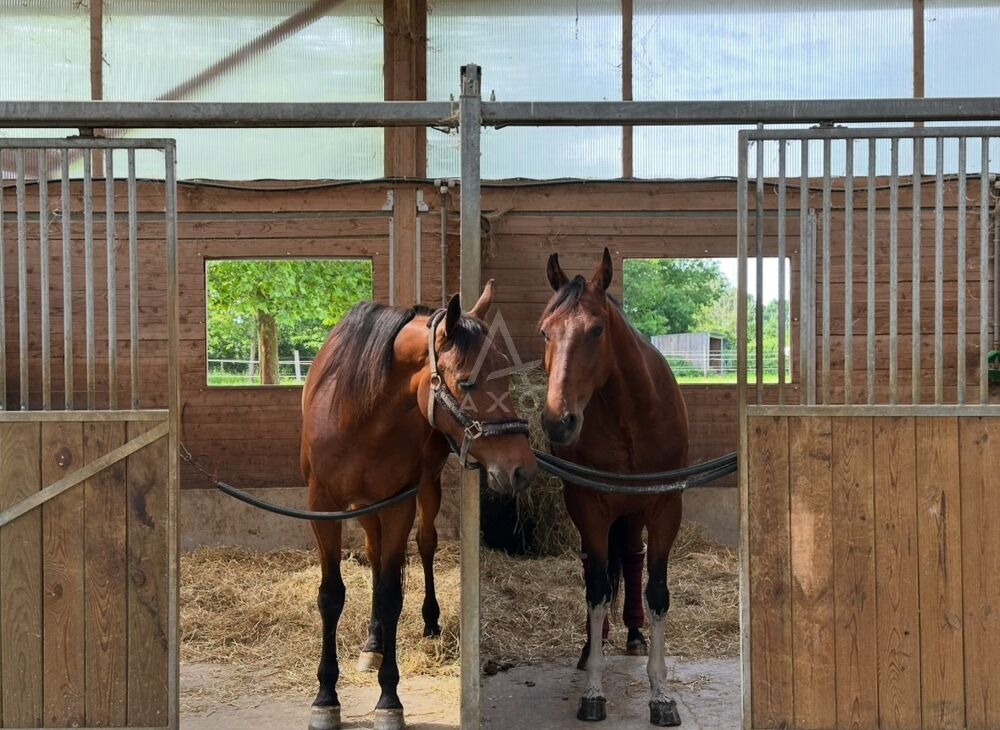 Vente Maison Haras / Equestre Le mans