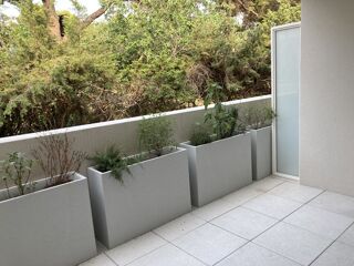  Appartement à louer 1 pièce 20 m²
