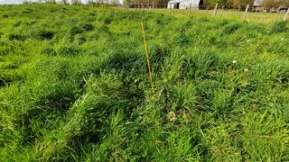  Terrain � vendre 2968 m�