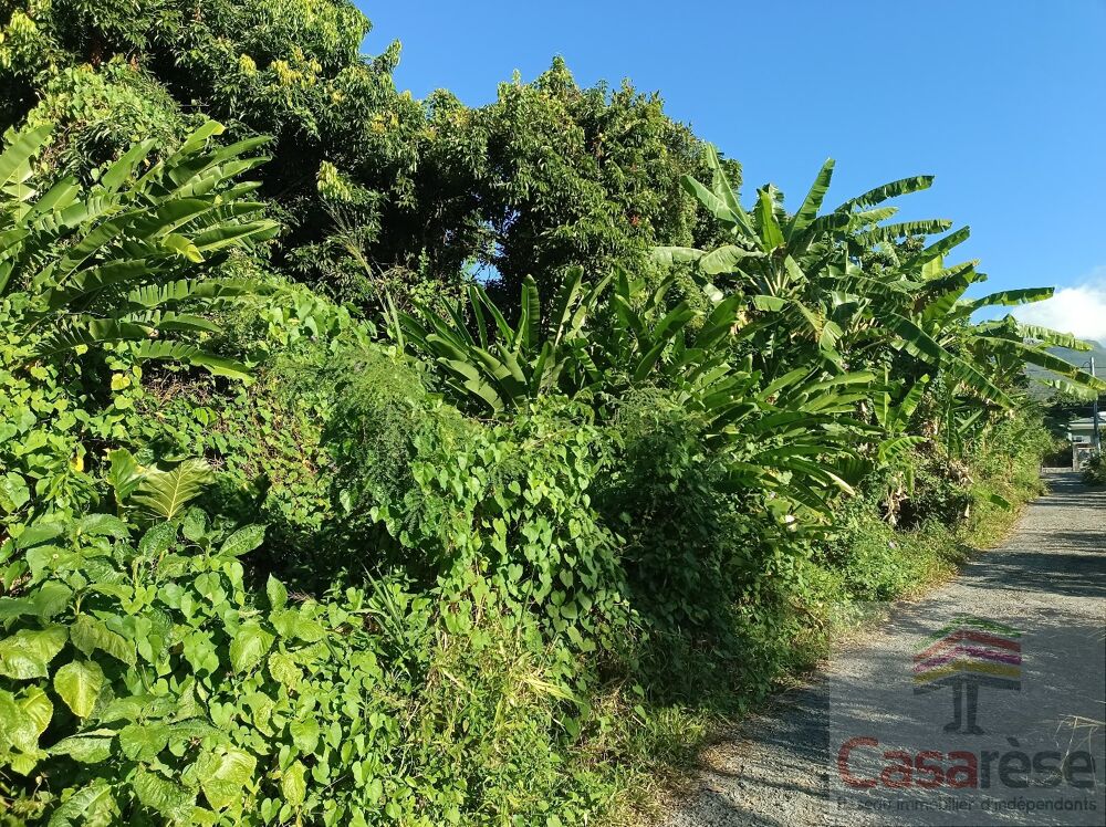Vente Terrain Terrain Sainte rose