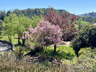  Immeuble � vendre 4 pi�ces 272 m�