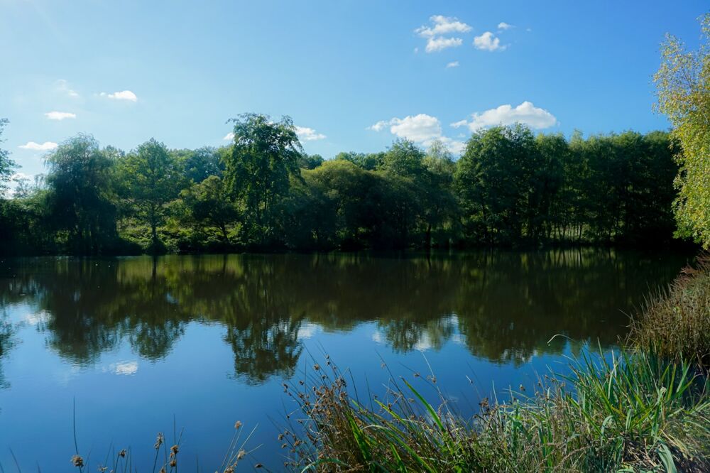 � vendre  Villa Saint-Jory-de-Chalais (24800)