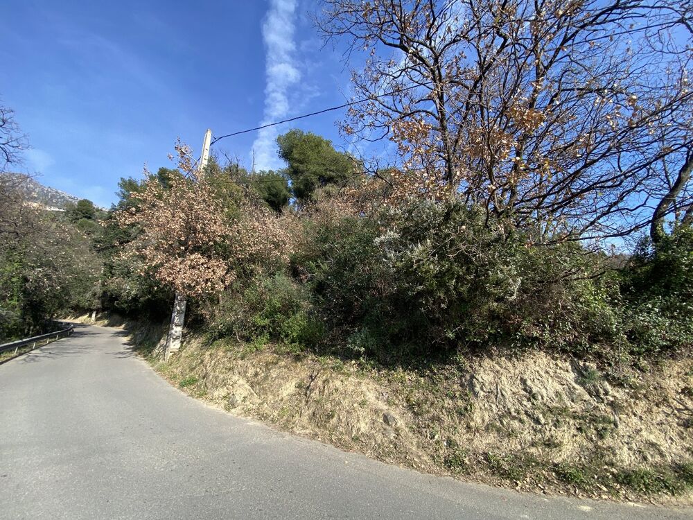 Vente Terrain Terrain Menton