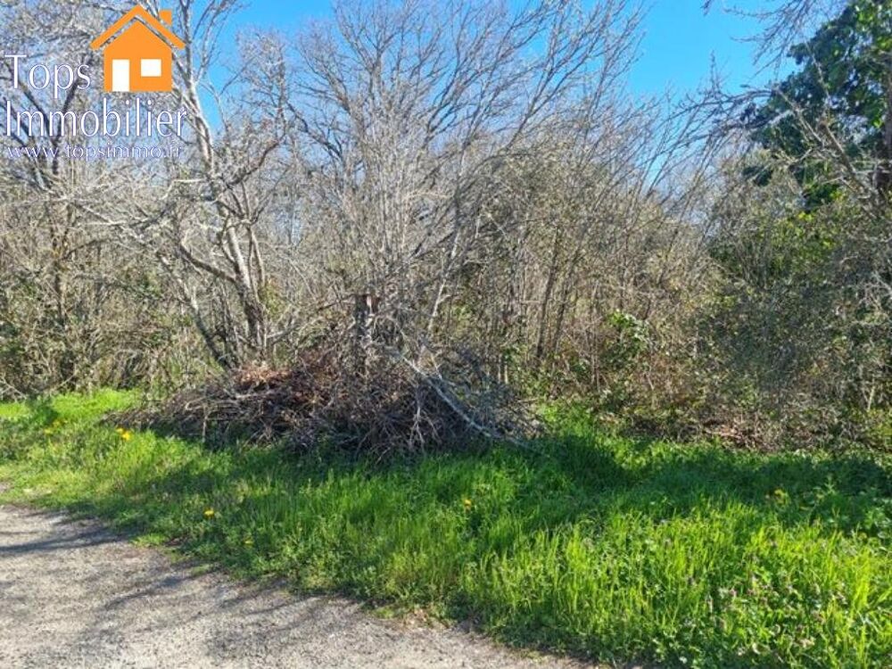 Vente Terrain Terrain Vailhourles