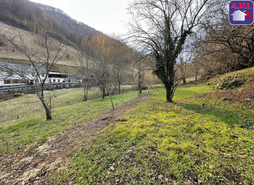 Vente Maison Maison Saint lary