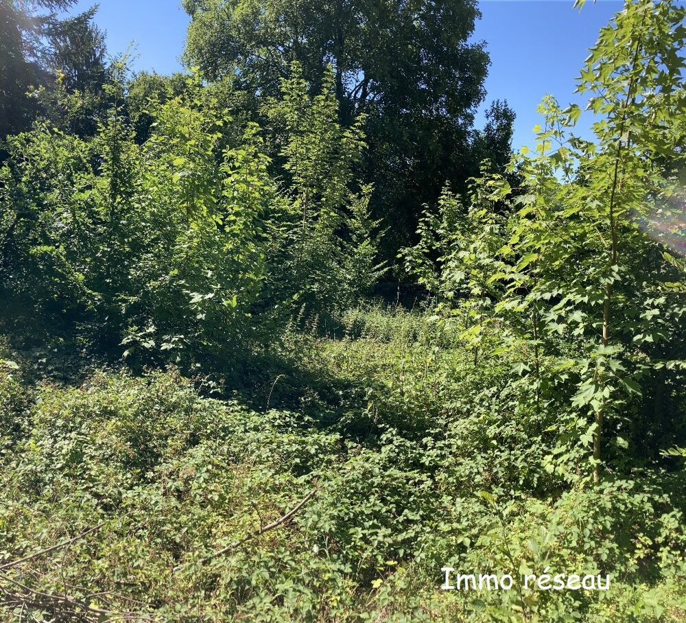 Vente Terrain Terrain Rebais