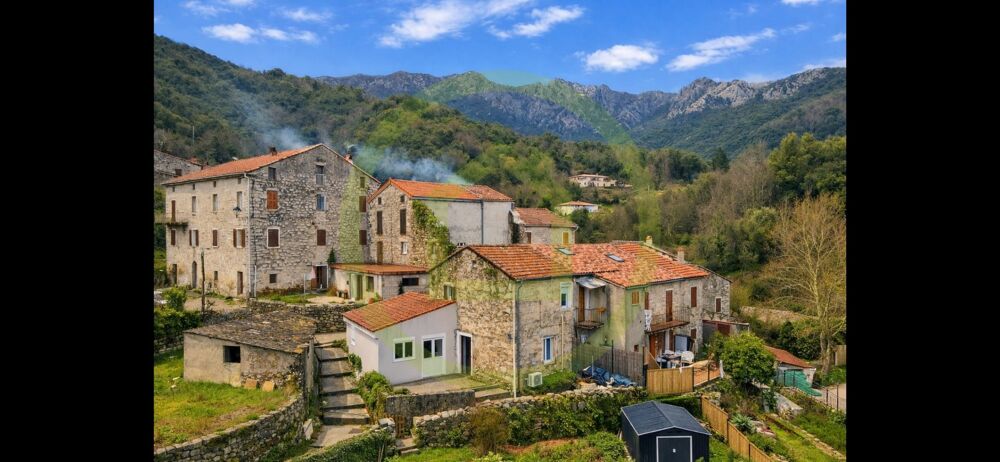 Vente Maison Maison Ucciani