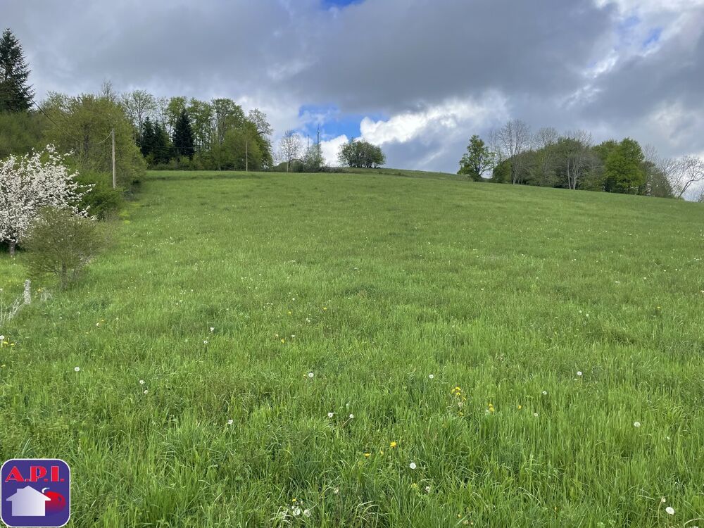 Vente Terrain Terrain Roquefeuil