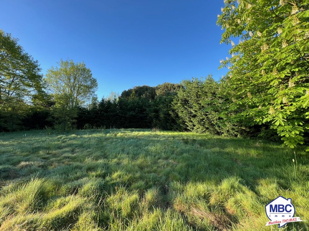 Vente Terrain Terrain constructible Saint andre de la marche