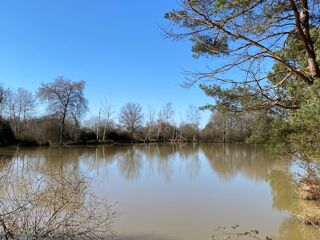  Terrain à vendre 14822 m² Saint brisson sur loire