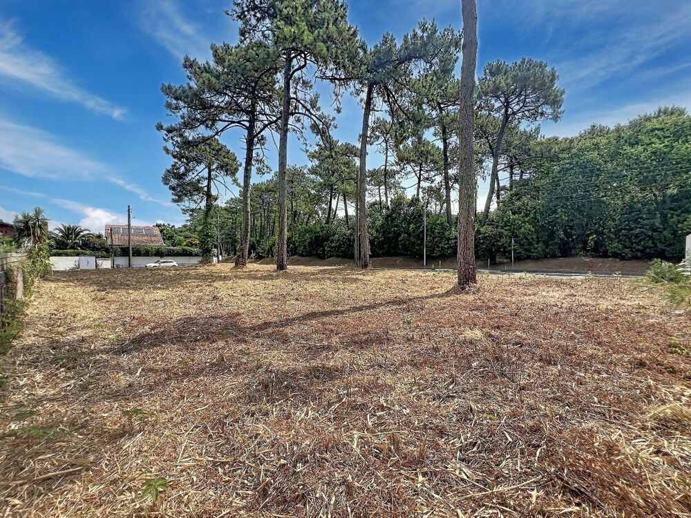 Vente Terrain Terrain constructible Anglet