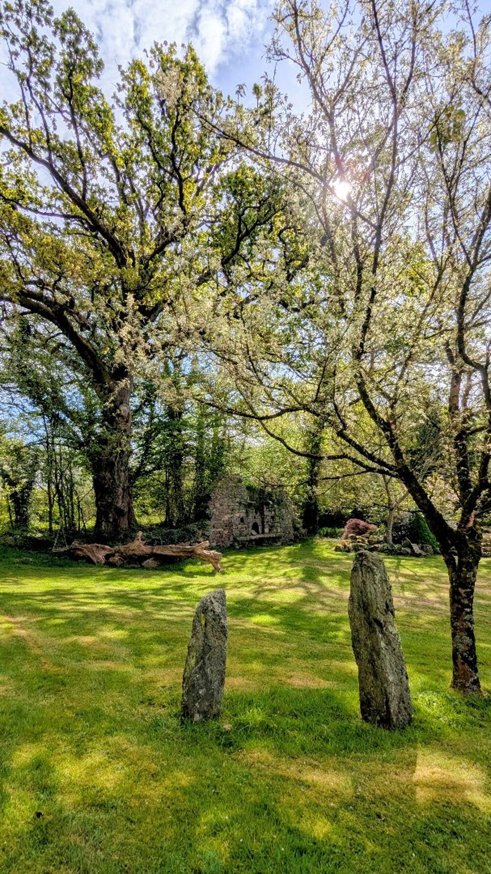 � vendre  Villa Pontivy (56300)