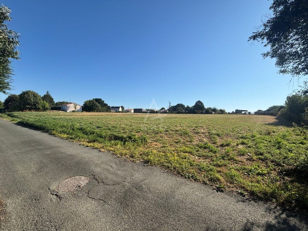 Vente Terrain Terrain constructible Saint andre goule d'oie