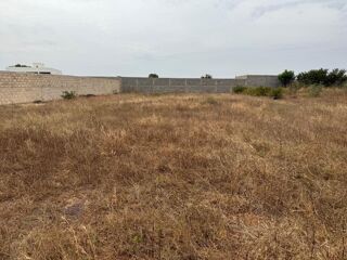  Terrain � vendre 1000 m� Nguerigne