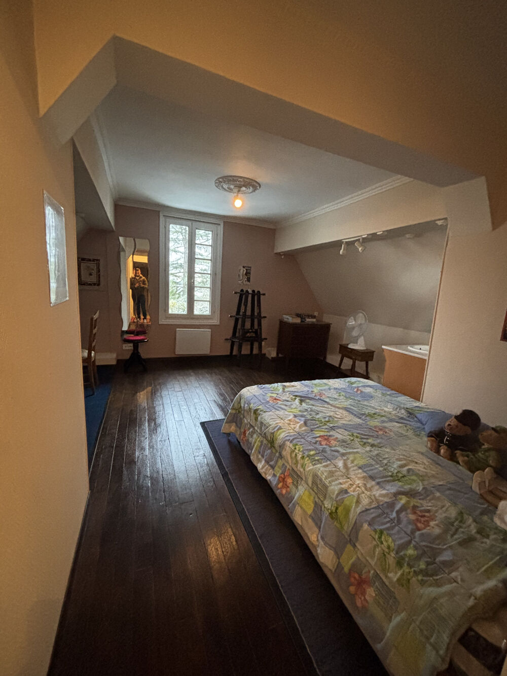  vendre  Maison Bonny-sur-Loire (45420)