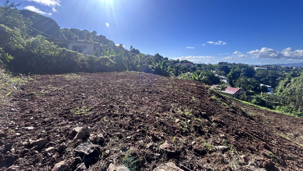 Vente Terrain Terrain constructible Ducos