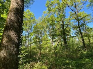Vente Terrain Terrain boisé – forêt Saint hilaire les andresis