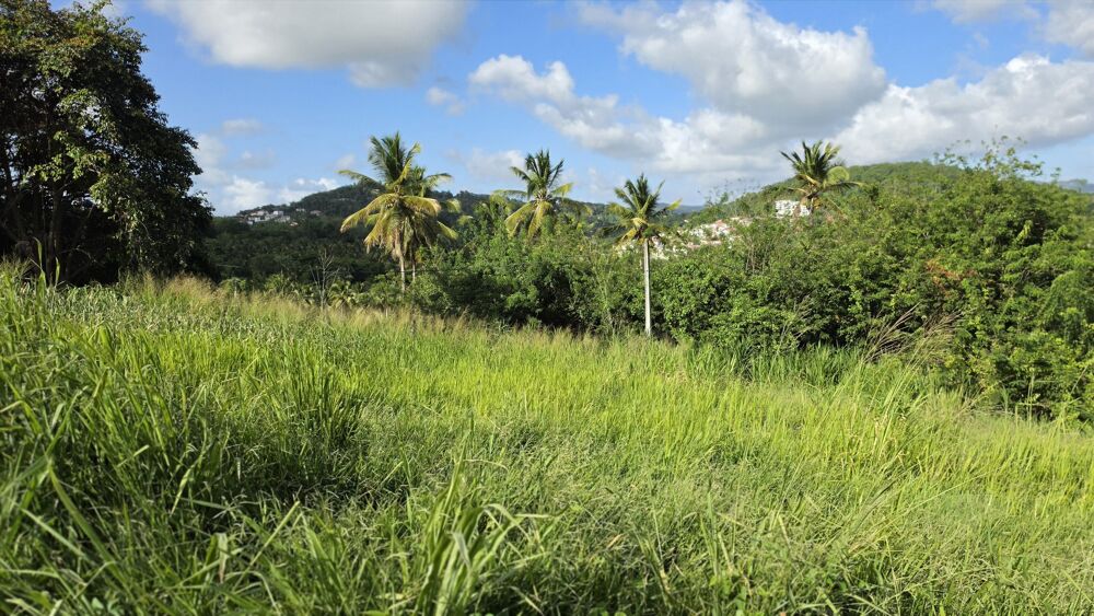 Vente Terrain Terrain Ducos