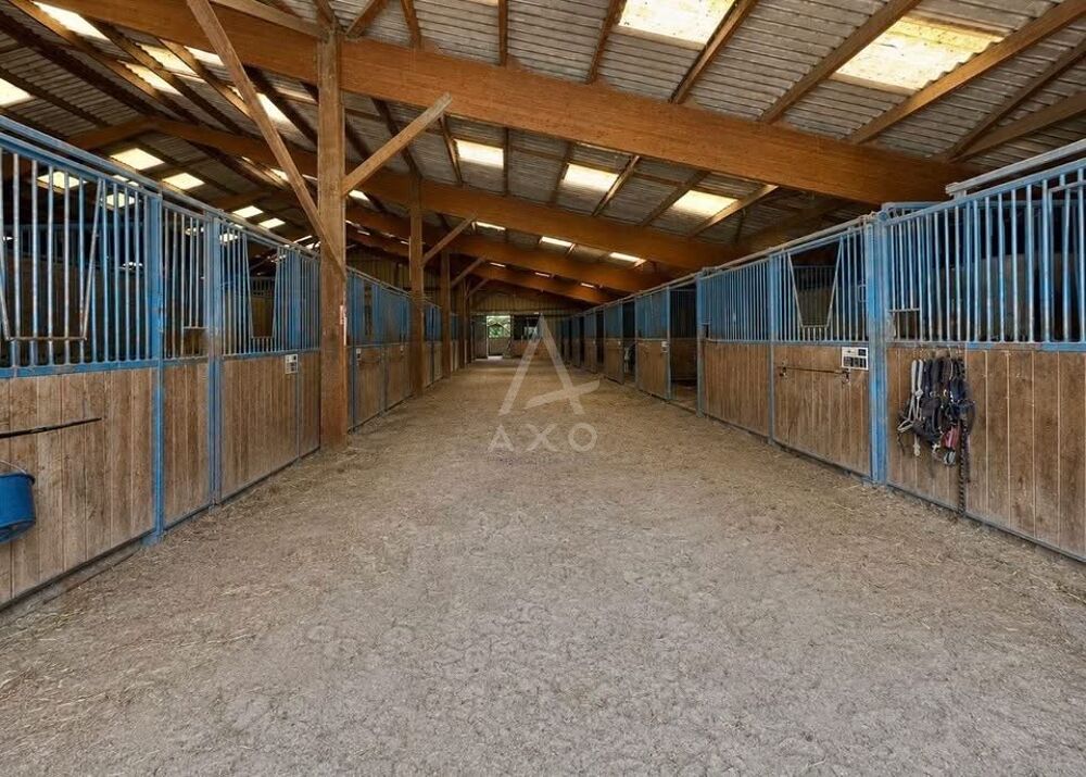 Haras / Equestre