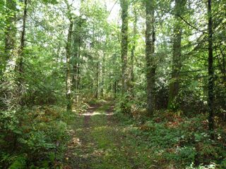  Terrain � vendre 41380 m�