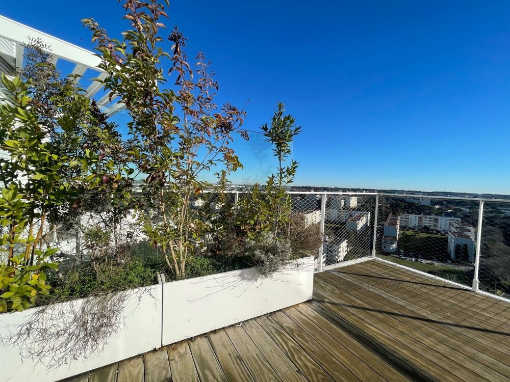 Location Appartement Appartement Montpellier