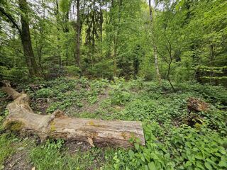  Terrain � vendre 7430 m�