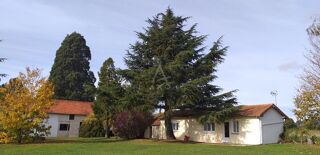  Maison à vendre 15 + pièces 475 m²