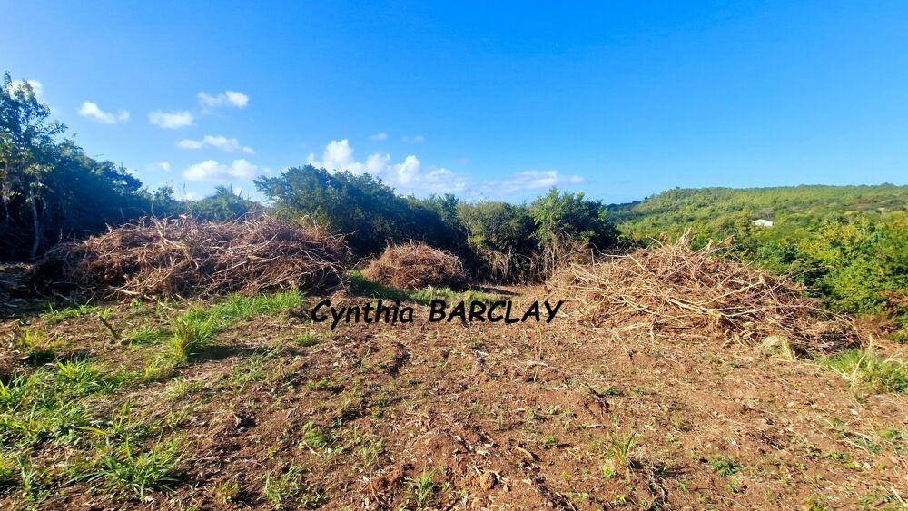 Vente Terrain Terrain constructible Le marin