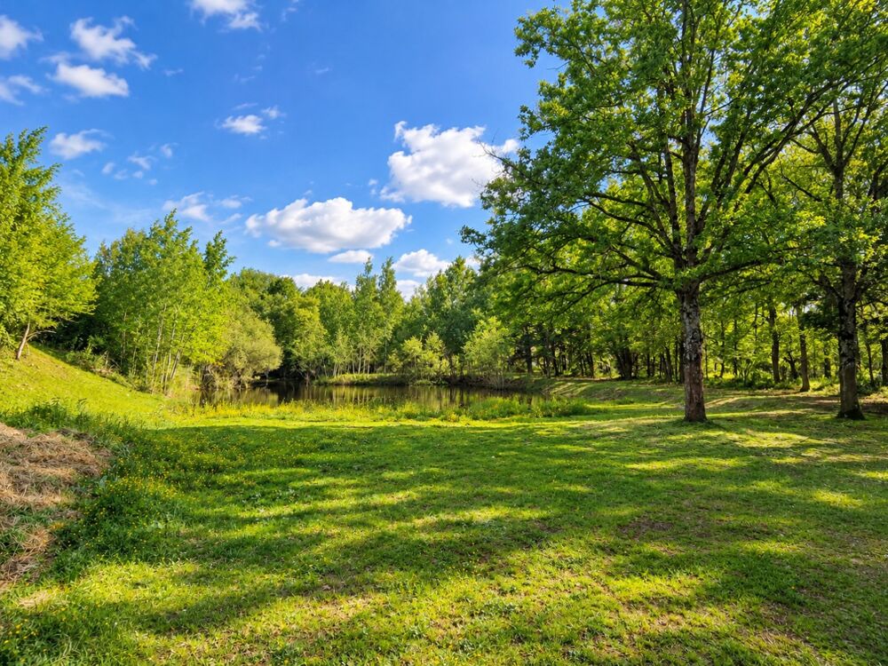 Vente Terrain Terrain de loisir Conflans sur loing
