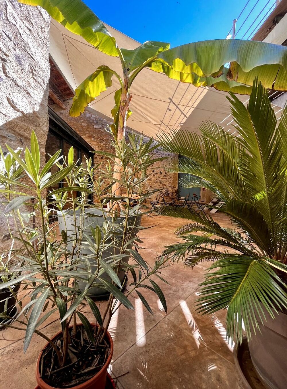 � vendre  Villa Caux (34720)