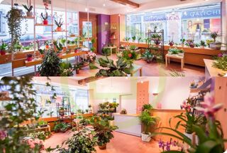  Immeuble � vendre 200 m�