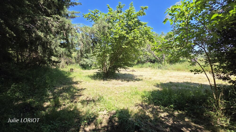 Vente Terrain Terrain de loisir Neffies