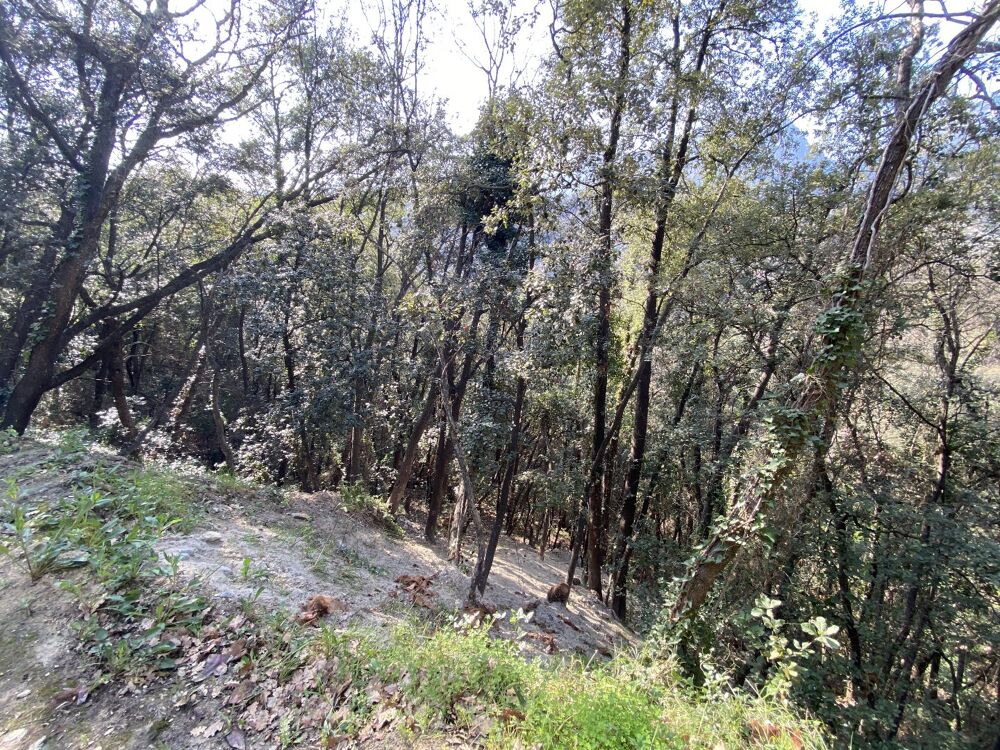 Vente Terrain Terrain Menton