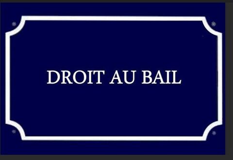 Local commercial 58240 35400 Saint malo