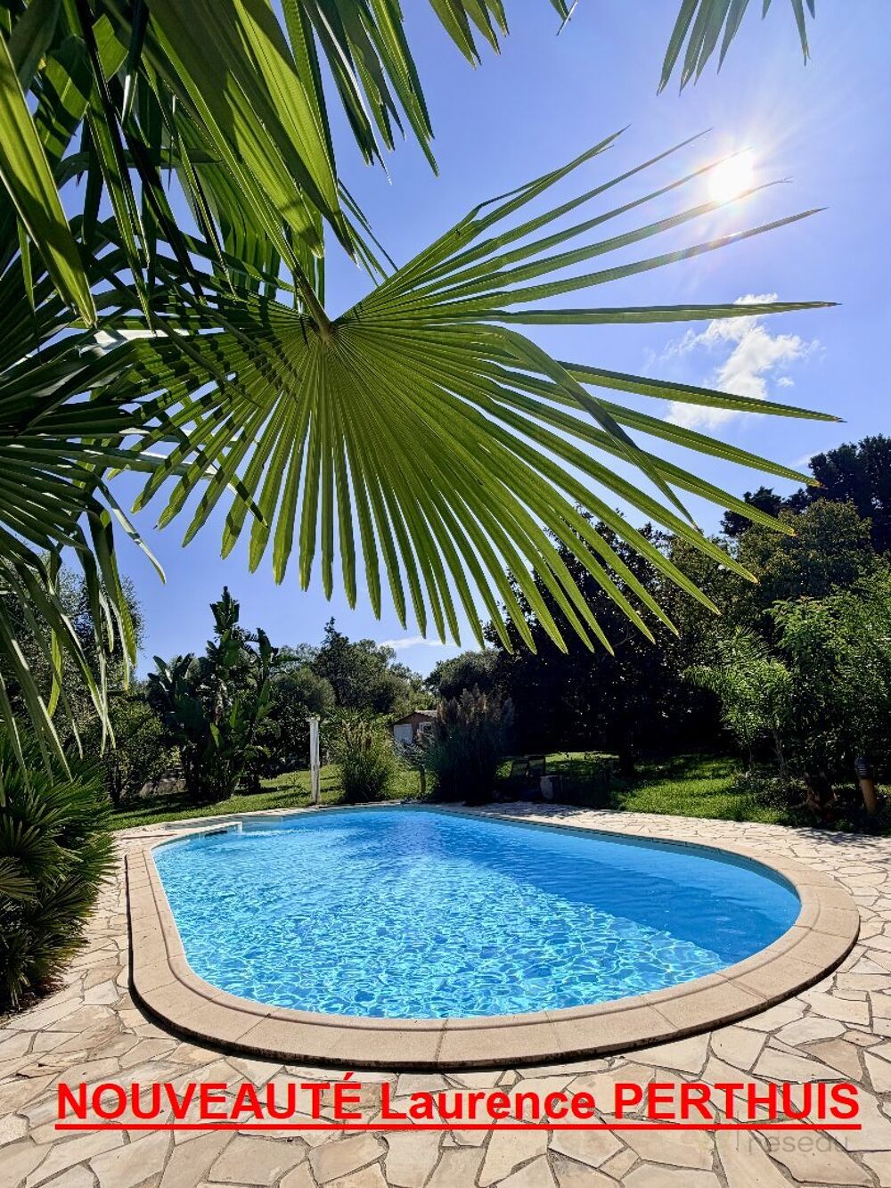 Vente Maison Maison Lucciana
