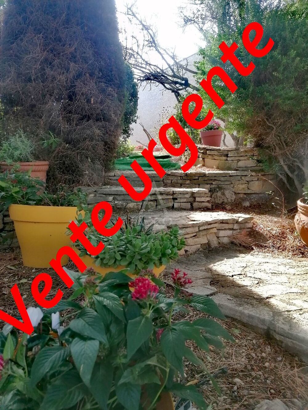 Vente Maison Maison de village Bages