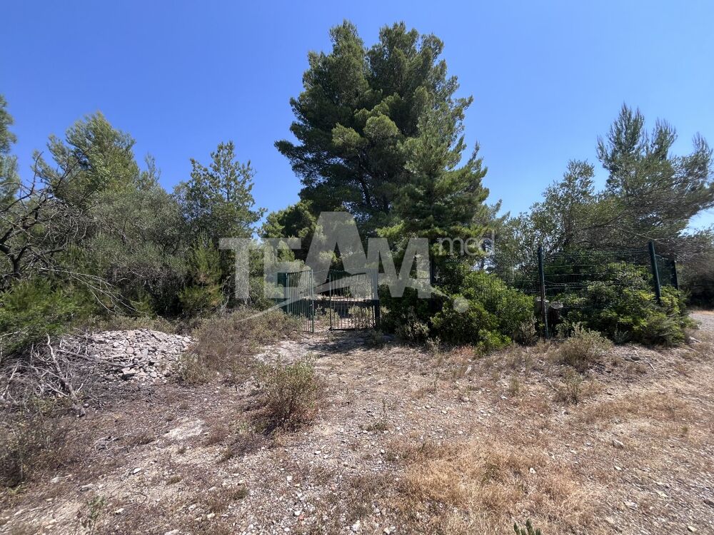 Vente Terrain Terrain de loisir Montbazin