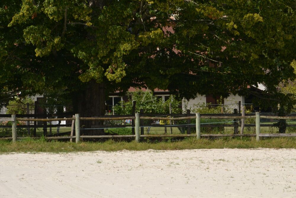 à vendre  Maison Villemer (77250)
