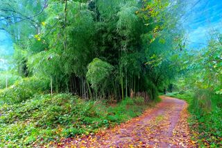  Terrain � vendre 3192 m�