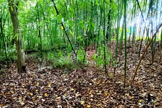  Terrain � vendre 3192 m�