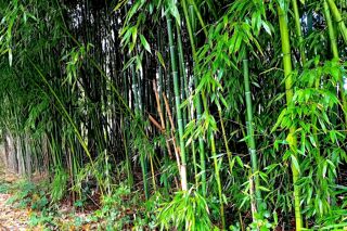  Terrain � vendre 3192 m�