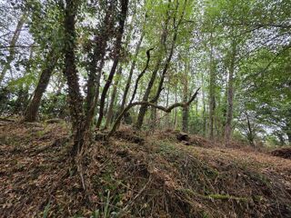  Maison  vendre 1 pice 33 m