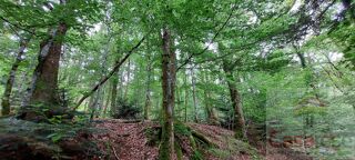  Terrain  vendre 9088 m