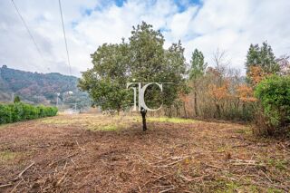 Terrain à vendre 4402 m²