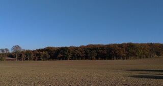  Terrain � vendre 810000 m�