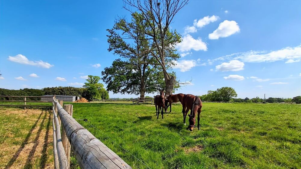 à vendre  Maison Saint-Mars-du-Désert (53700)