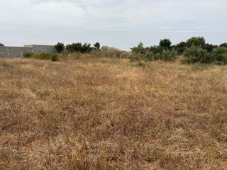  Terrain � vendre 1000 m� Nguerigne
