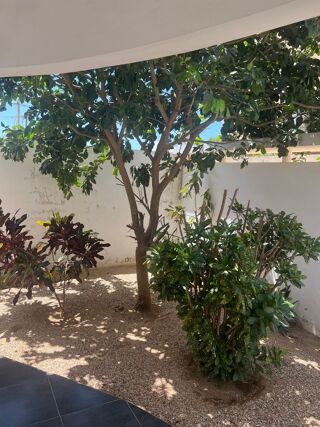  Maison � vendre 3 pi�ces 140 m� Somone les aigrettes