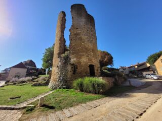  Maison � vendre 15 + pi�ces 334 m�