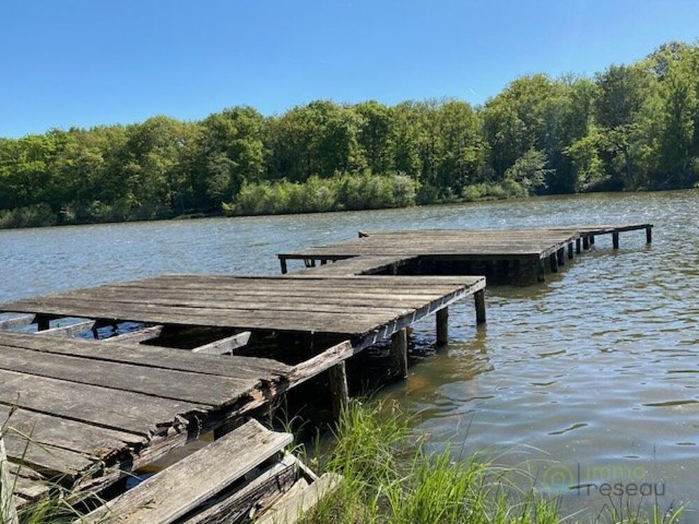 Vente Terrain Terrain boisé – forêt Saint hilaire les andresis